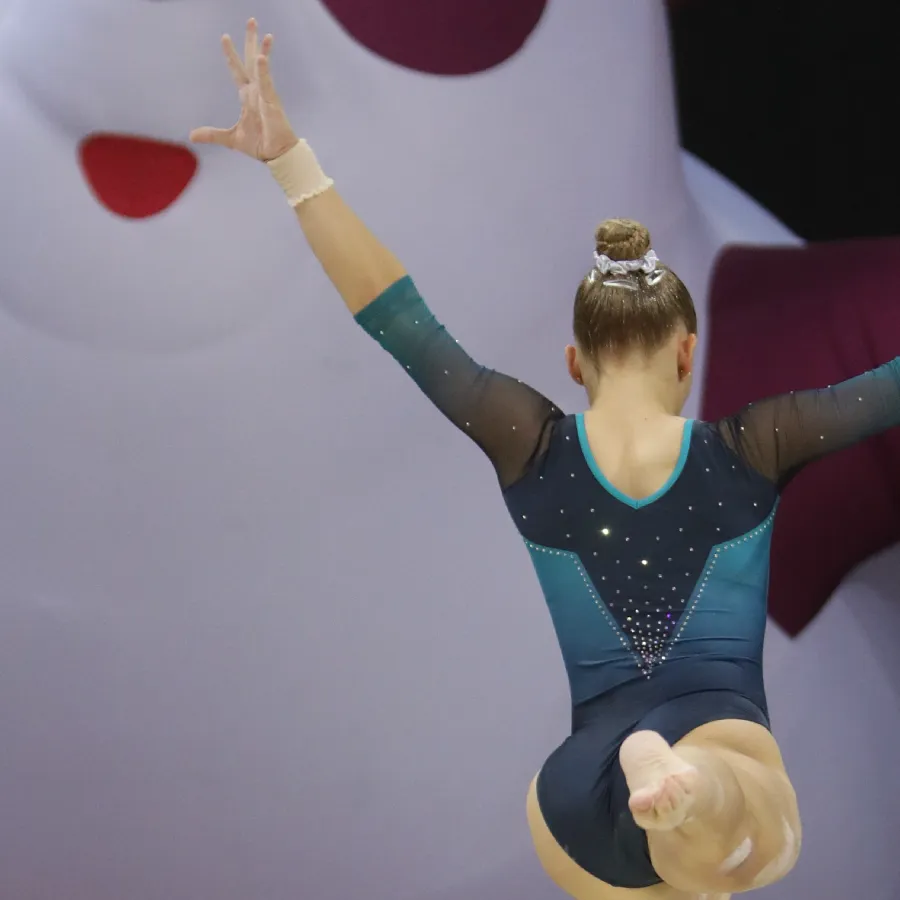 Gimnasia artistica 2026 Navarra Arena Horizontal