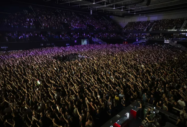 Concierto de La Raiz