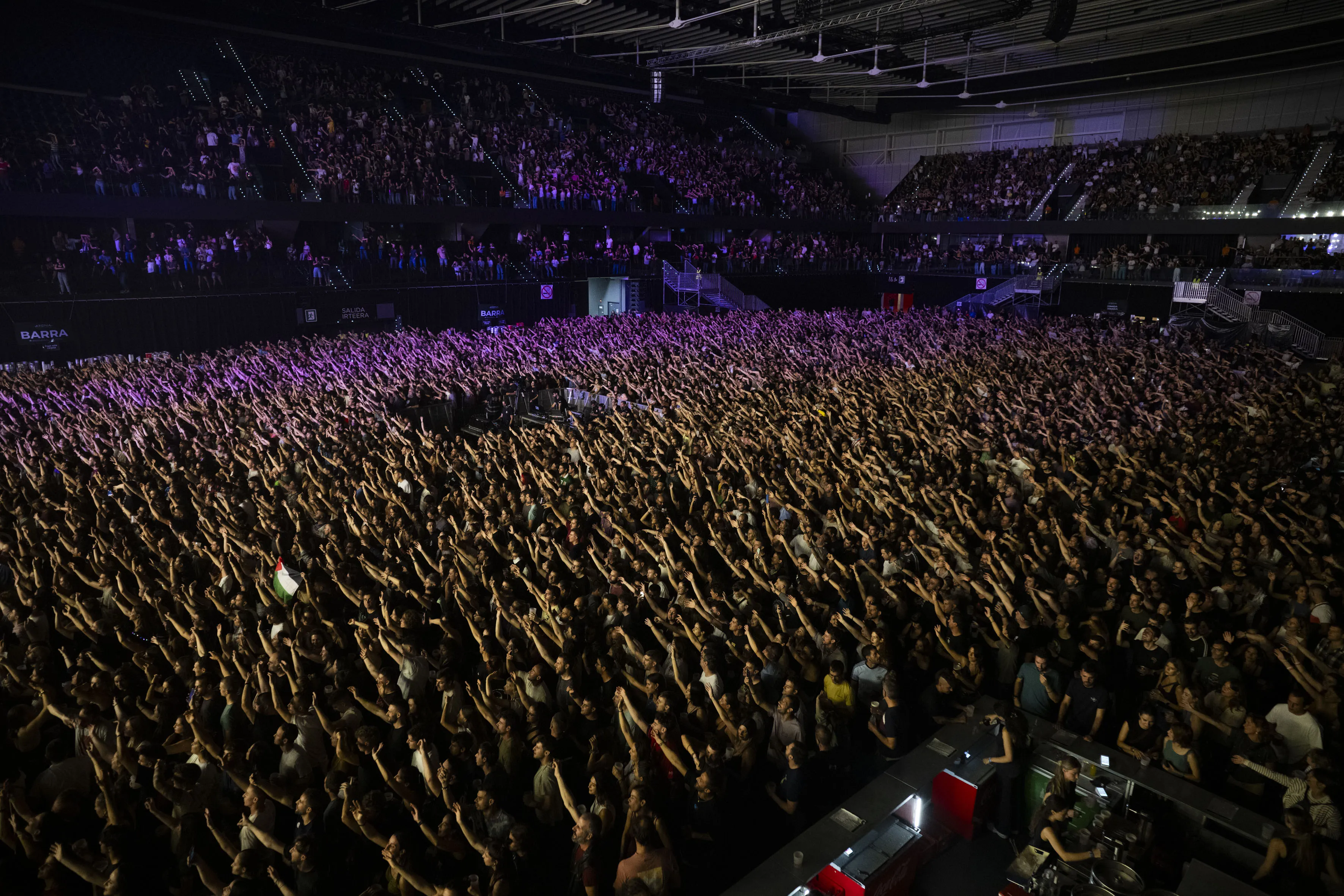 Concierto de La Raiz