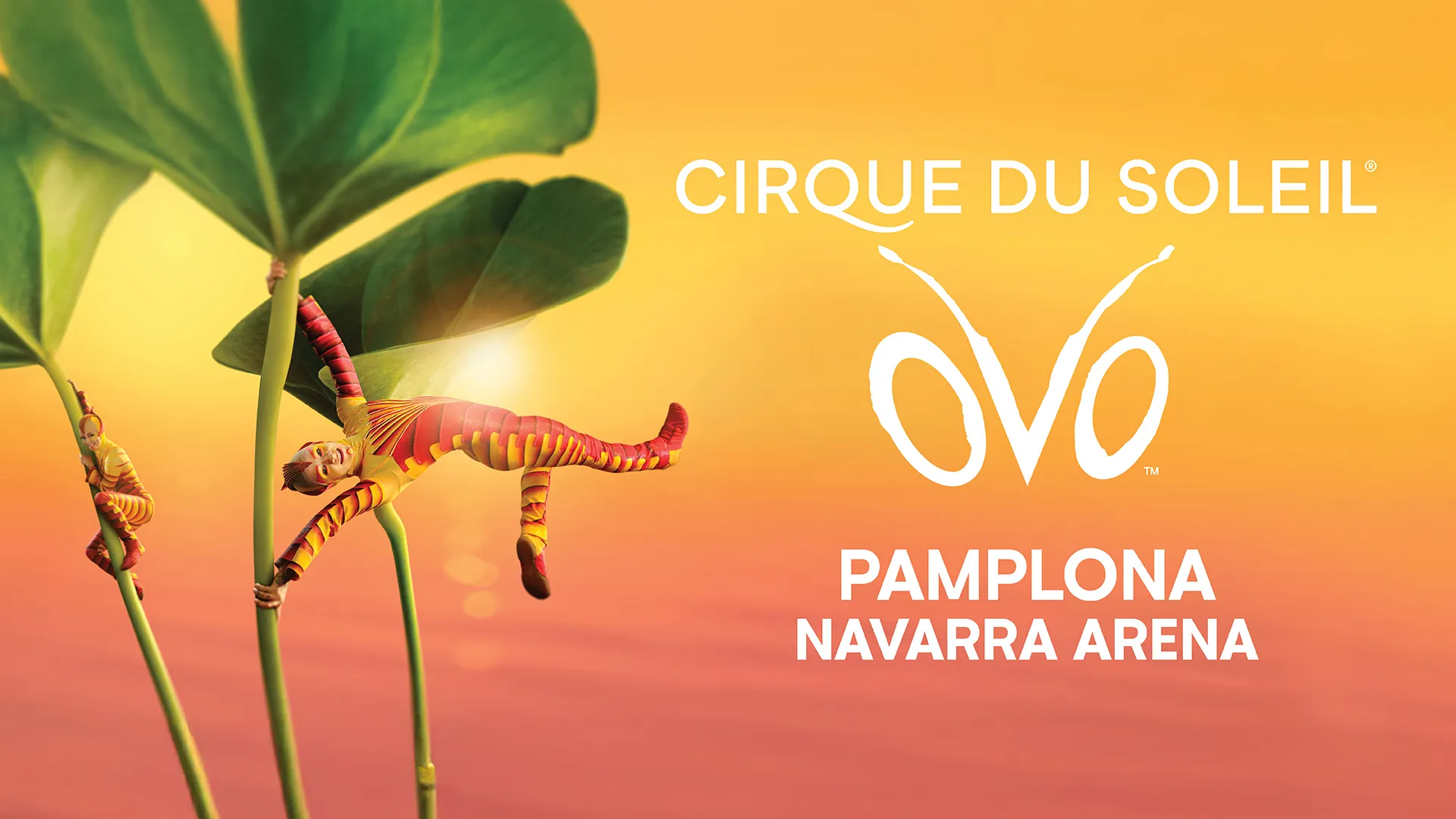 Cirque du Soleil