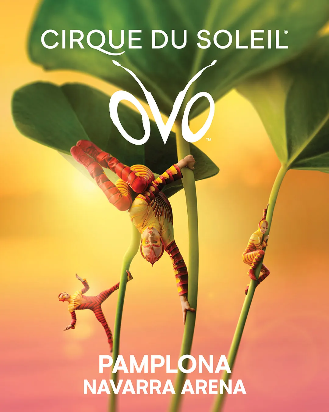 OVO Pamplona Cirque du Soleil